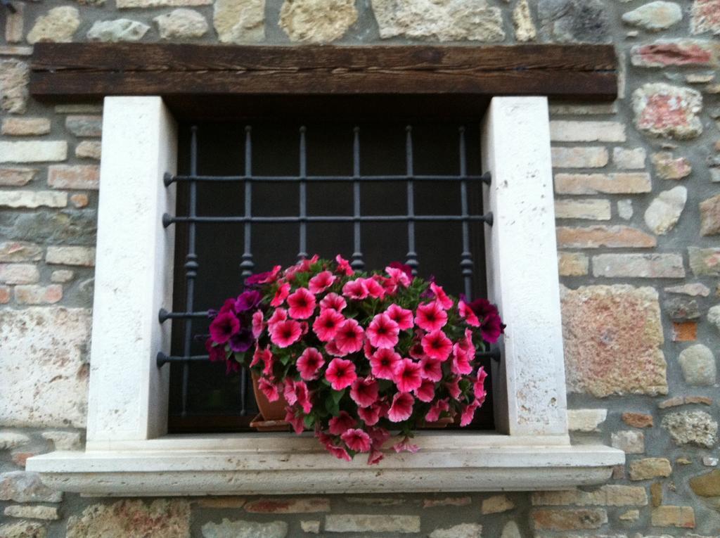 Agriturismo La Cantina Ascoli Piceno megye Kültér fotó