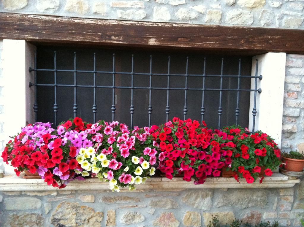 Agriturismo La Cantina Ascoli Piceno megye Kültér fotó